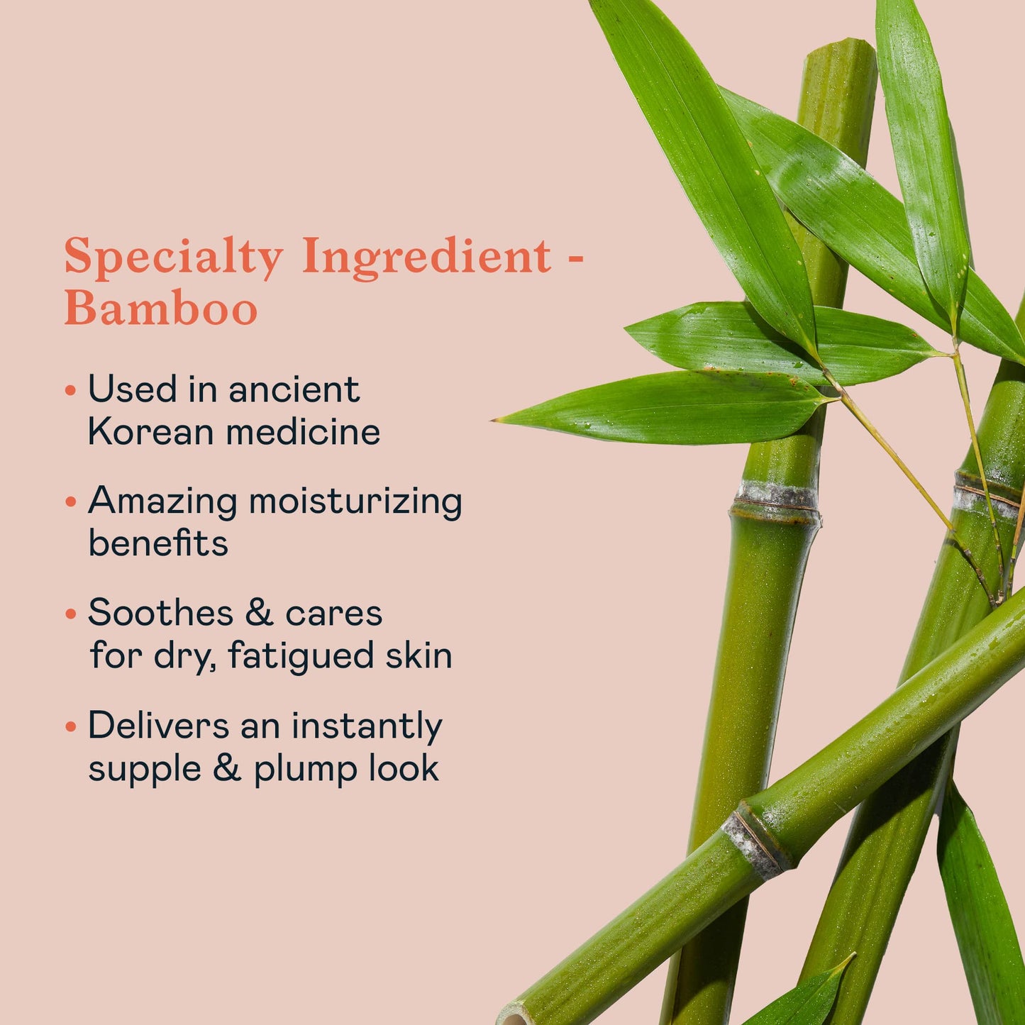 Erborian-Sève de Bamboo Eye- Hydrating & Moisturizing Eye Cream,Anti-Aging Eye Contour Gel treatment- Soothing & Visibly Reduces Signs of Fatigue,Fine Lines & Dark Circles- Korean Skincare- 0.5oz