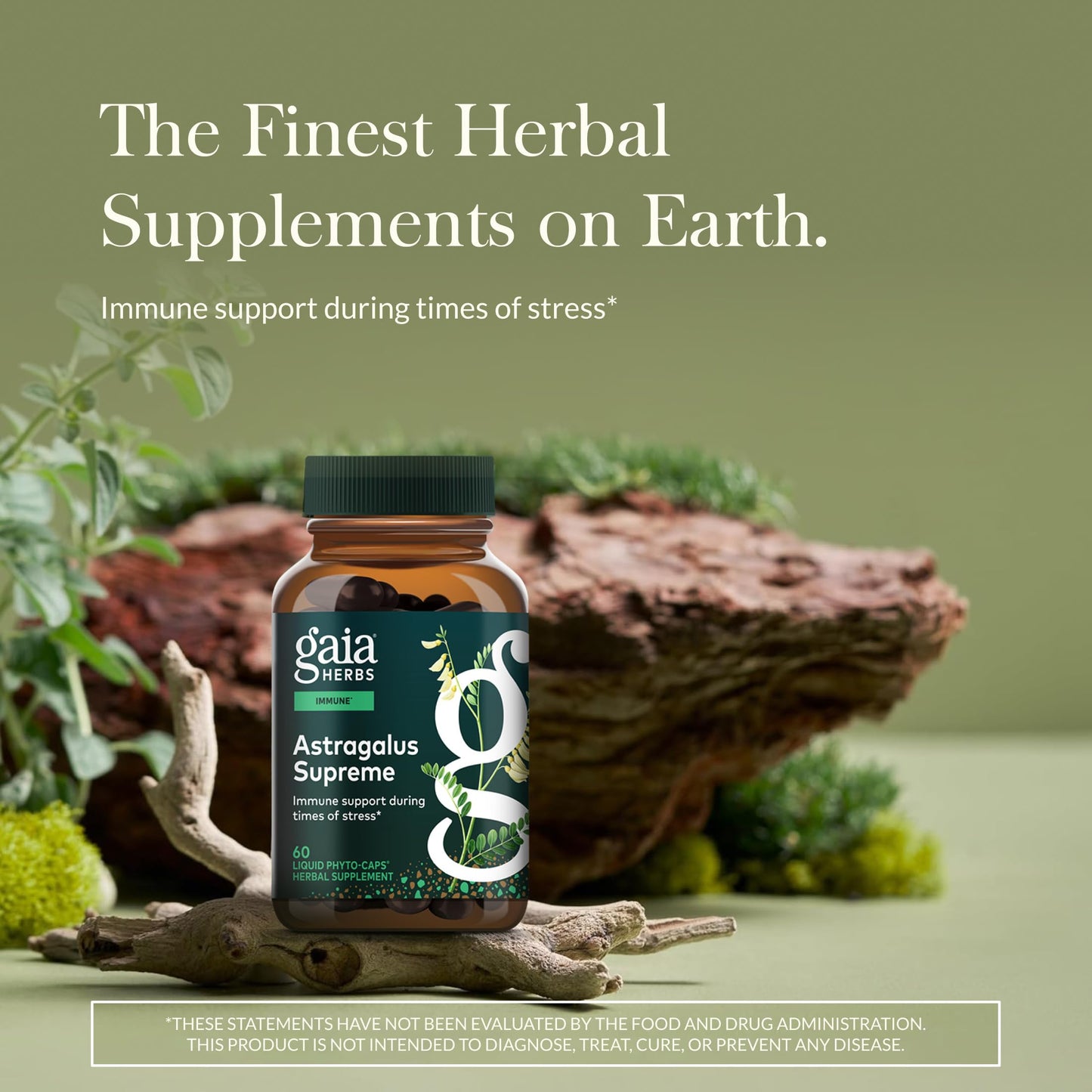 Gaia Herbs Astragalus Supreme - Immune & Antioxidant Support* - Herbal Supplement with Astragalus Root, Schisandra Berry & Ligustrum - 60 Vegan Liquid Phyto-Caps (30 Servings)