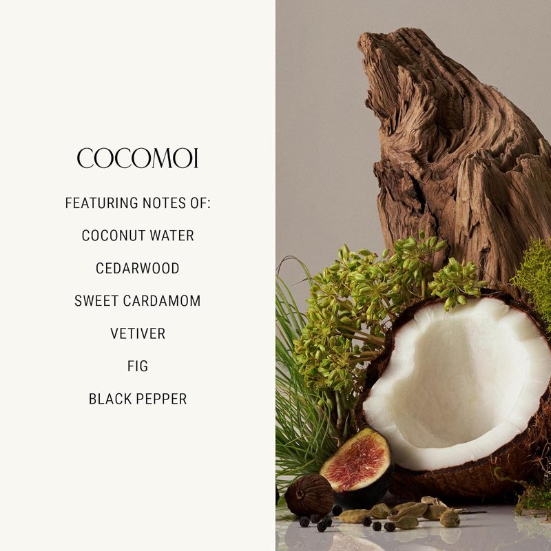 Homecourt Perfume Oil - Long-Lasting Coconut & Cedarwood Scent | 0.34 Fl Oz