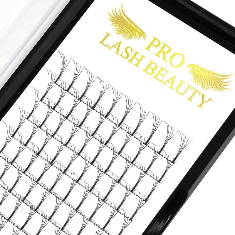 Premade Fans Eyelash Extensions 5D-D-0.07-17 Long Stem Premade Volume Eyelash Extensions .07 .10 Premade Volume Fans C D Durl(5D-D-0.07,17 mm)
