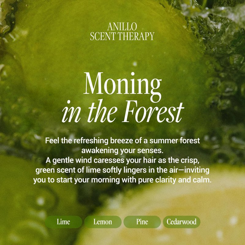 anillO Lime Sunday Refresh Hair Shampoo & Conditioner with Brush Set - Deep Cleansing & Damage Repair Korean Hair Care with Tangerine, Proteins & Ceramides - Silicone & Sulfate Free (2EA, 1.85 fl oz)