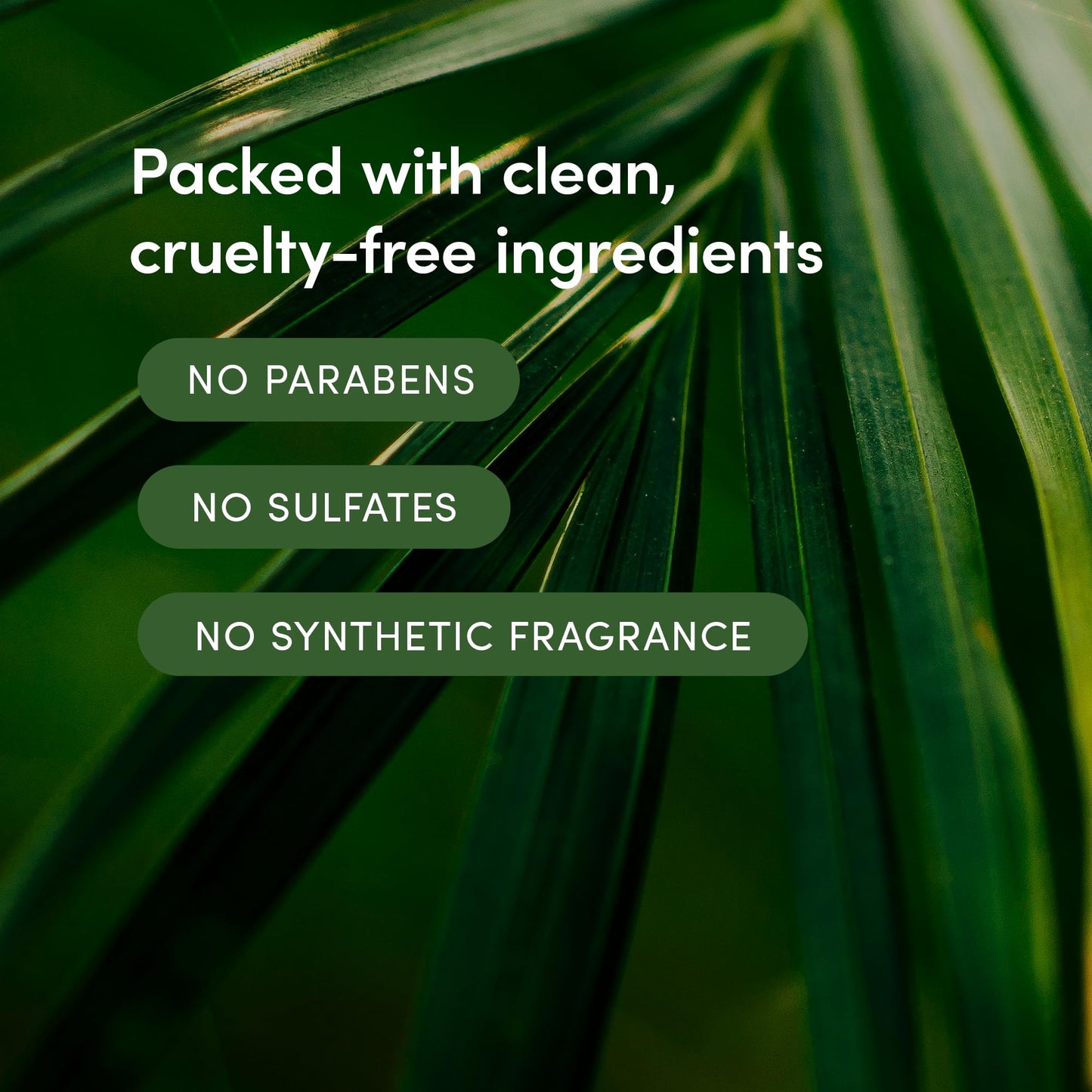 LATHER - Bamboo Lemongrass Natural Body Wash, 8 fl oz - Shower Gel Cleanser - Body Soap - Essential Oils - Green Tea, Aloe Vera, Jasmine - All Skin Types, Vegan, Cruelty Free - Beauty & Skincare