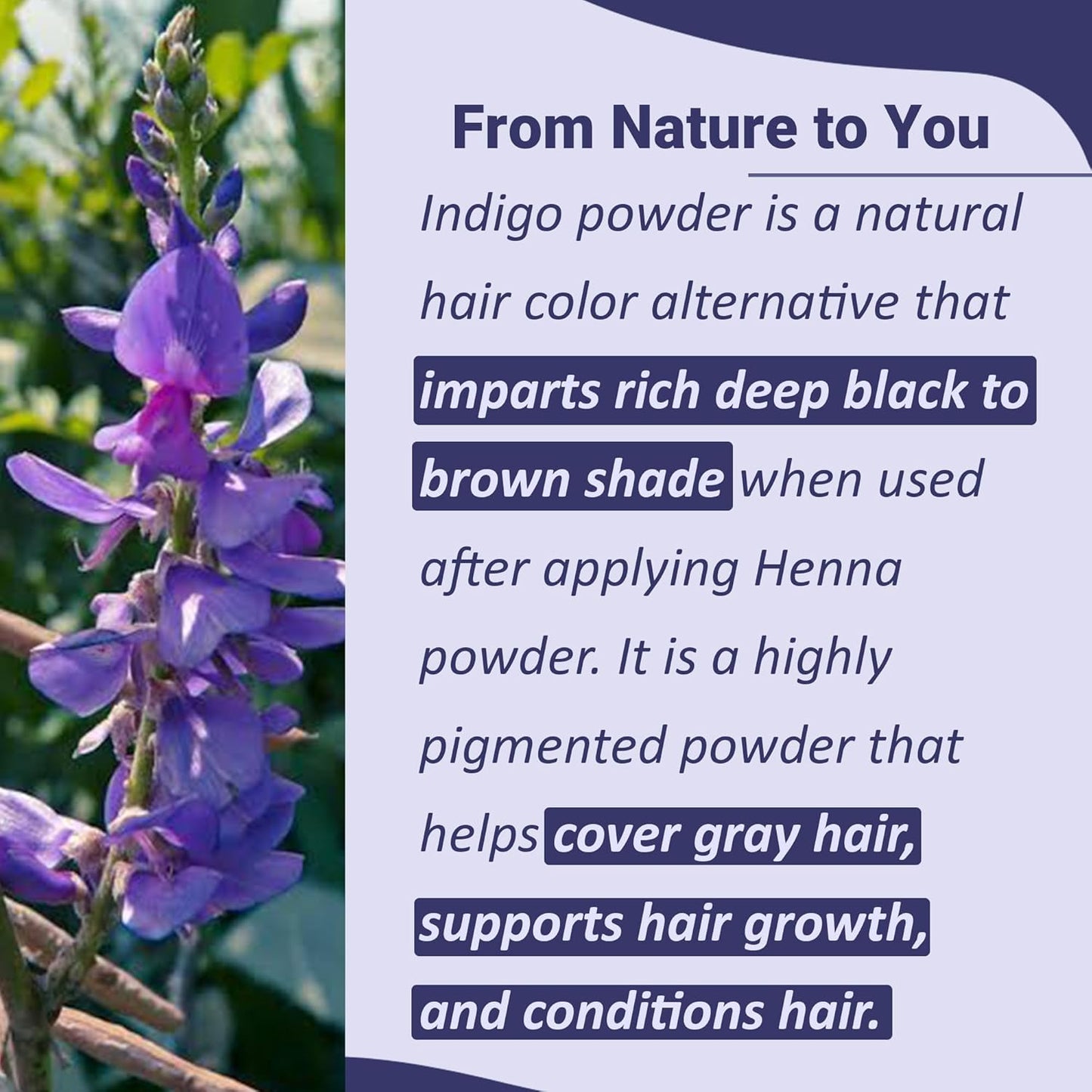 Indigo Leaf Powder - 100% Natural Herbal Tint for Rich Dark Hair Color - 1Kg (35oz)
