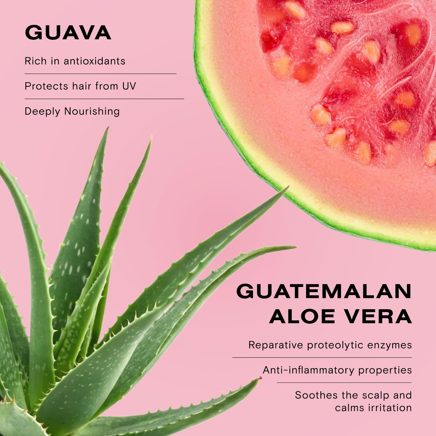 Ceremonia Guava Color Protect & Damage Repair Shampoo | Restores Hair & Boosts Shine with Aloe Vera | Protects Hair from UV and Heat, 8.45 fl oz