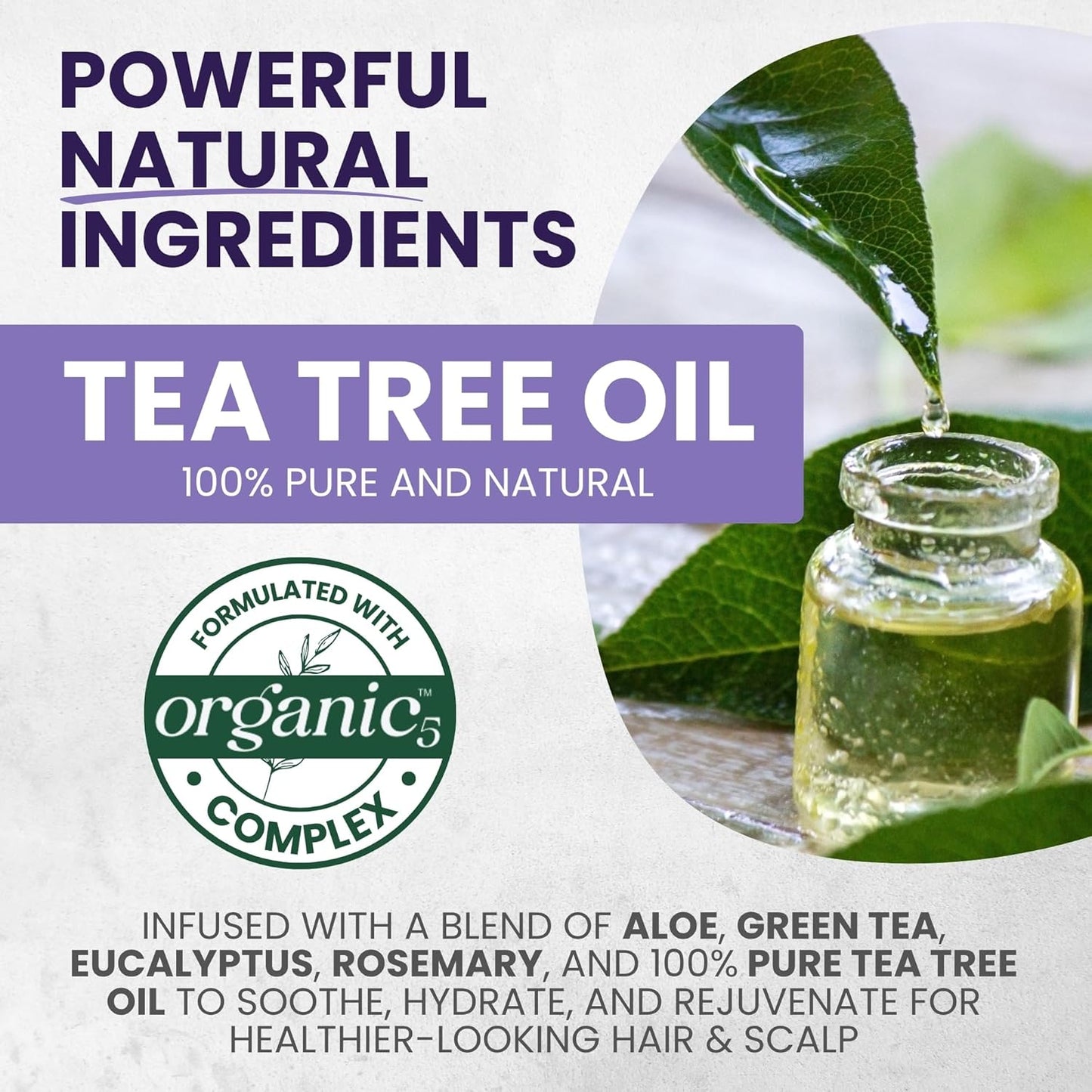 Tea Tree Purple Conditioner - Anti-Brass Toner for Blonde & Silver Hair | 16 fl oz, Softens & Repairs Damaged Hair