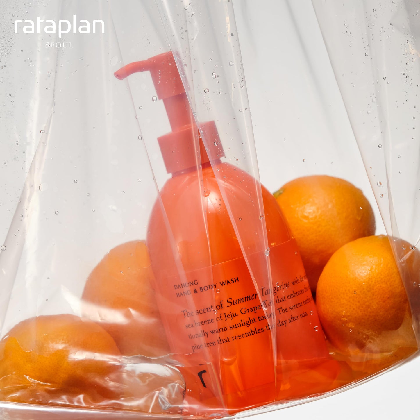 RATAPLAN Dahong Hand & Body Lotion - Vegan, Gentle and Soft Moisturizer, Tangerine of Jeju Island, Korean Skincare, 10.14 fl.oz 300ml