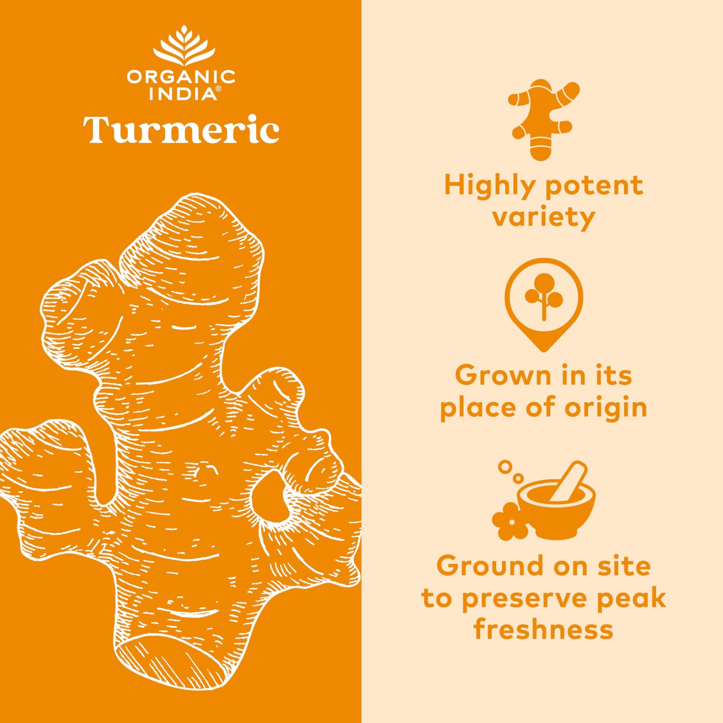 ORGANIC INDIA Turmeric Curcumin Herbal Supplement - Joint Mobility & Immune Support, Healthy Inflammatory Response, Whole Root Supplement, Trikatu, USDA Certified Organic, Non-GMO - 180 Capsules