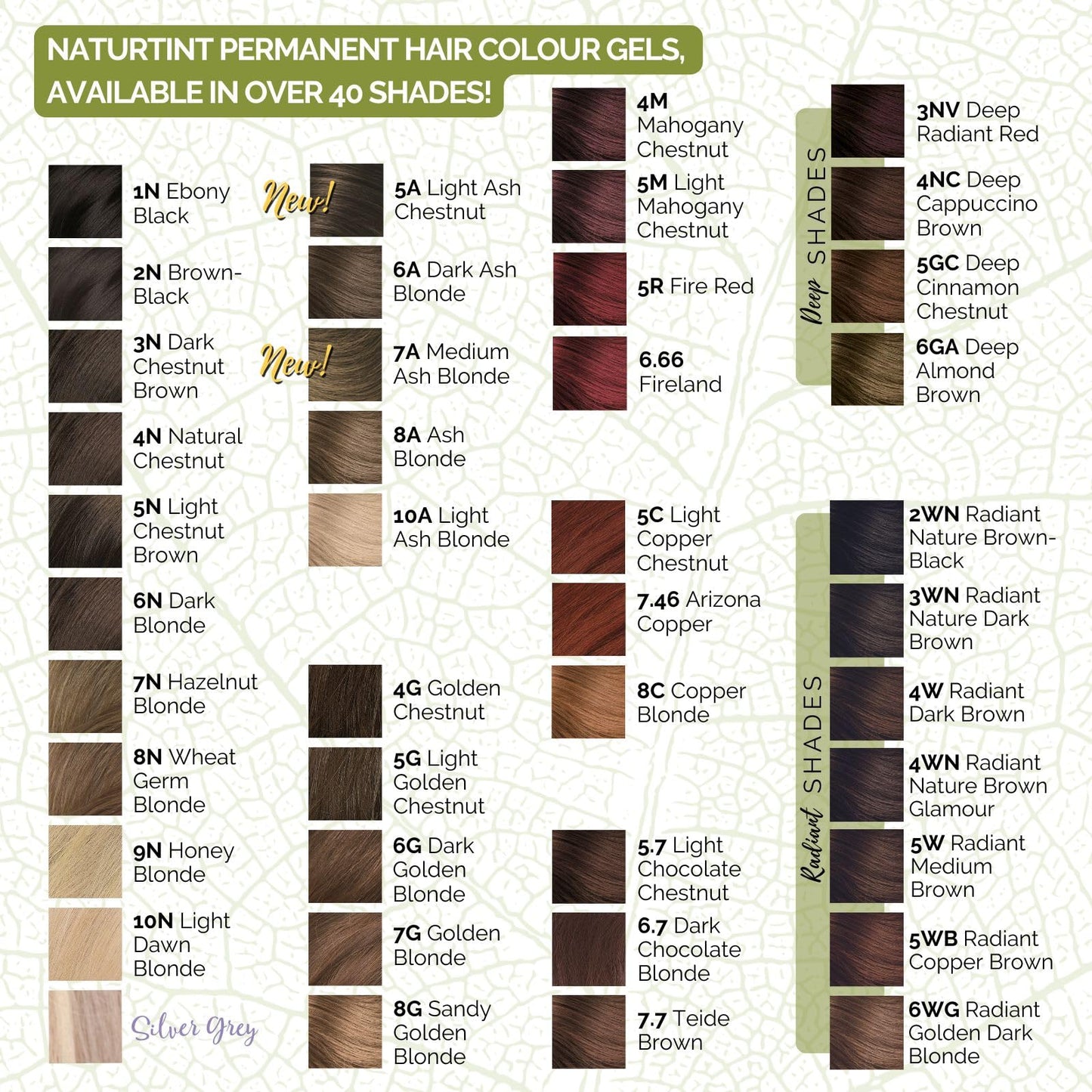 Naturtint 2N Brown Black Permanent Hair Color (Pack of 1), Ammonia Free, Vegan, Cruelty Free, up to 100% Gray Coverage, Long Lasting Results (Packaging may vary)