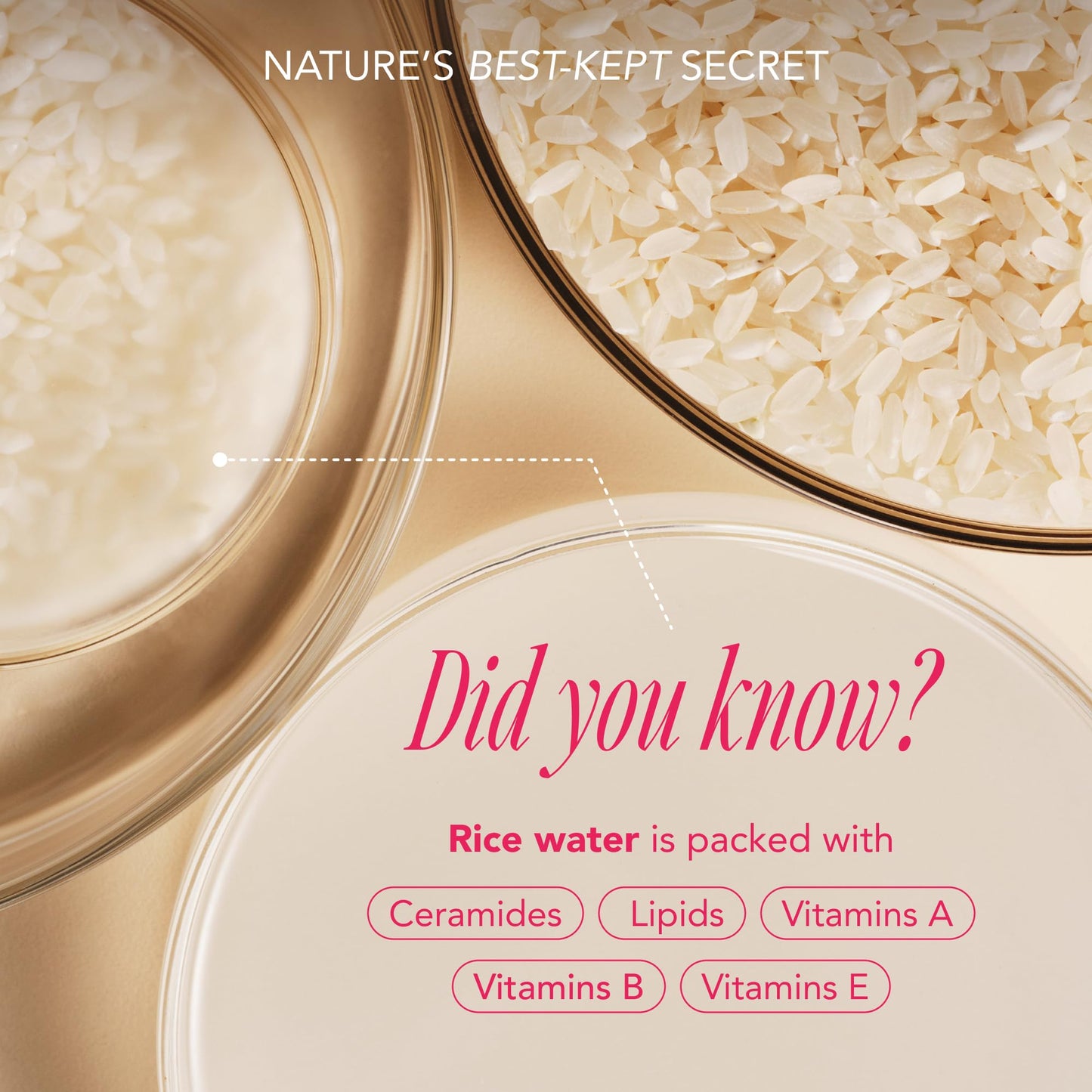 The Face Shop Rice Water Bright Essential Shampoo, Rice Protein Hair Care for Strengthening Dry & Damaged Hair, Korean Shampoo, Hair Growth, Anti-Frizz, Anti-Hair Loss, Breakage Control, Sulfate Free
