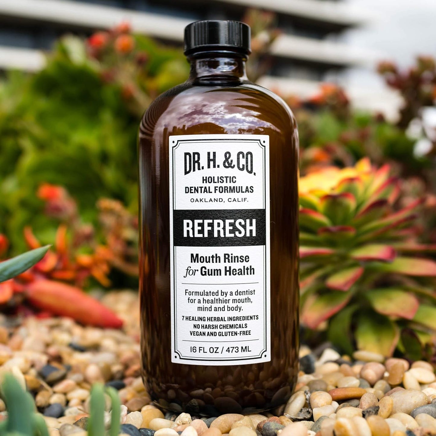 Dr. H. & Co. Refresh Mouthwash - All-Natural Herbal Rinse for Healthy Gums & Teeth | 16oz