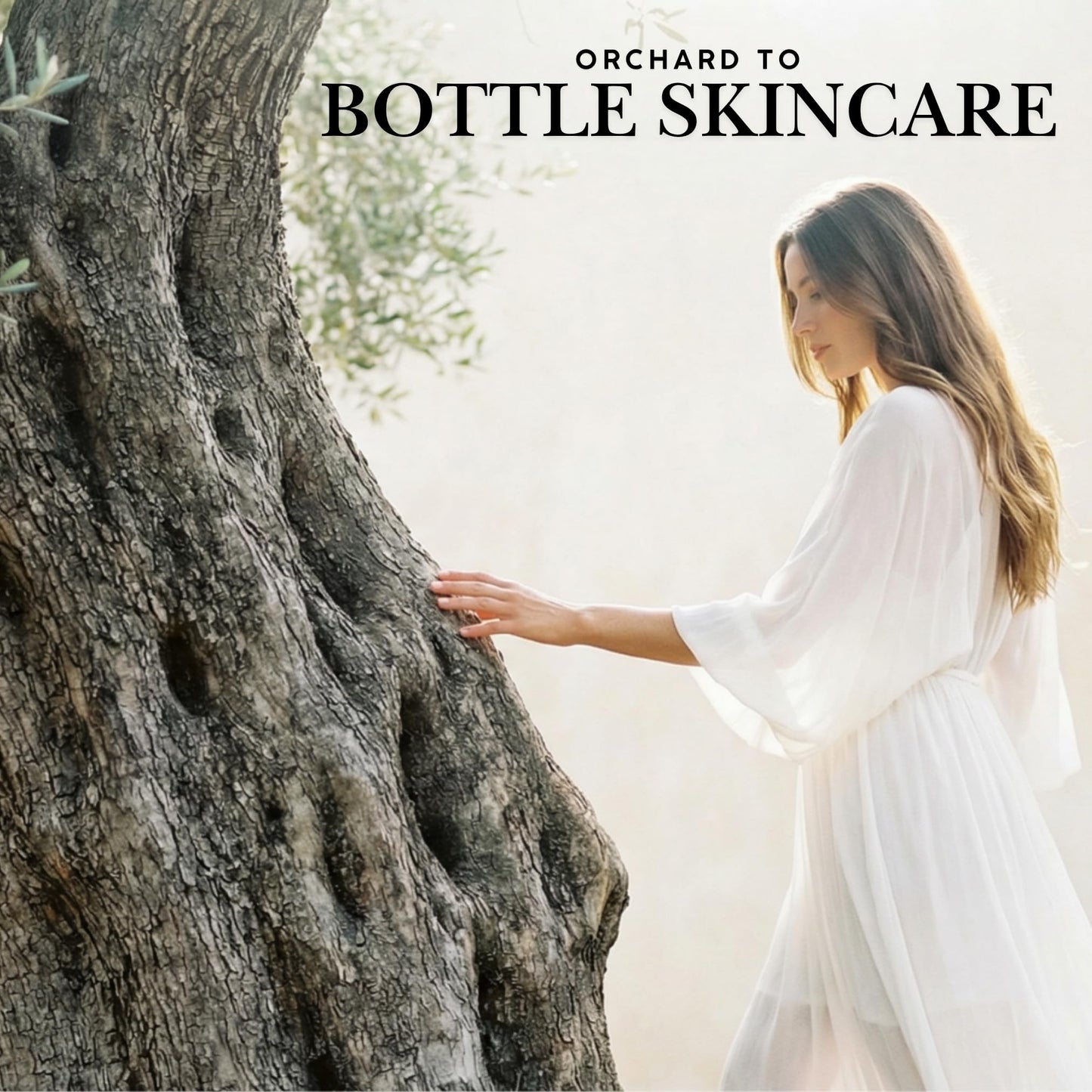 Olive Oil Face Serum | Small‑Batch Facial Oil | 1885 California Orchard | For Sensitive & Dry Skin | Squalane & Olive Leaf Extract | Lightweight, Fast‑Absorbing, Hydroxytyrosol‑Rich Hydration