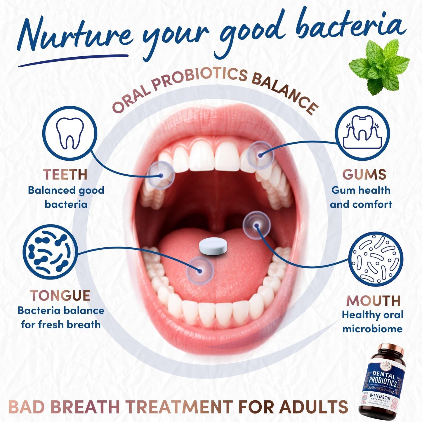 Oral Probiotics for Teeth and Gums - 3BN CFU Lactobacillus Salivarius Acidophilus Rhamnosus Streptococcus - Bad Breath Treatment for Adults - 45 Chewable Mint Dental Probiotic Tablets for Women & Men