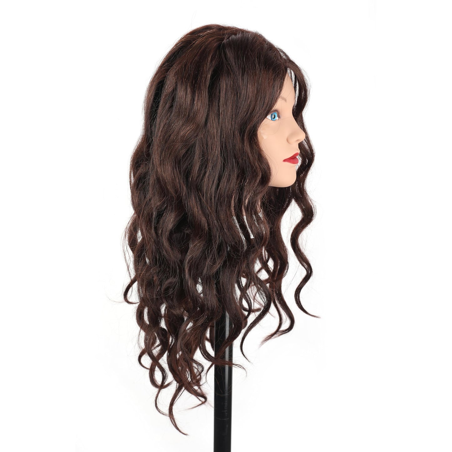 Stancia Manequin Head for Cosmentogoly Training Head and Stlyist Suppliew, Mannequin Head with 80% Human Hair, Doll Head for Hair Styling, Braiding, Practice