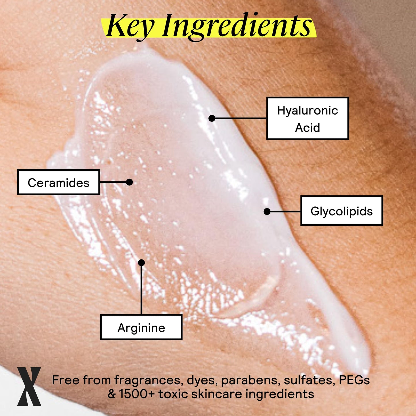 Untoxicated Moisturizing Lotion - Daily Face Moisturizer & Body Lotion for Sensitive Skin - Ceramides & Hyaluronic Acid - No Common Irritants - Non-Comedogenic - Oil-Free - Fragrance Free - 10 Ounce