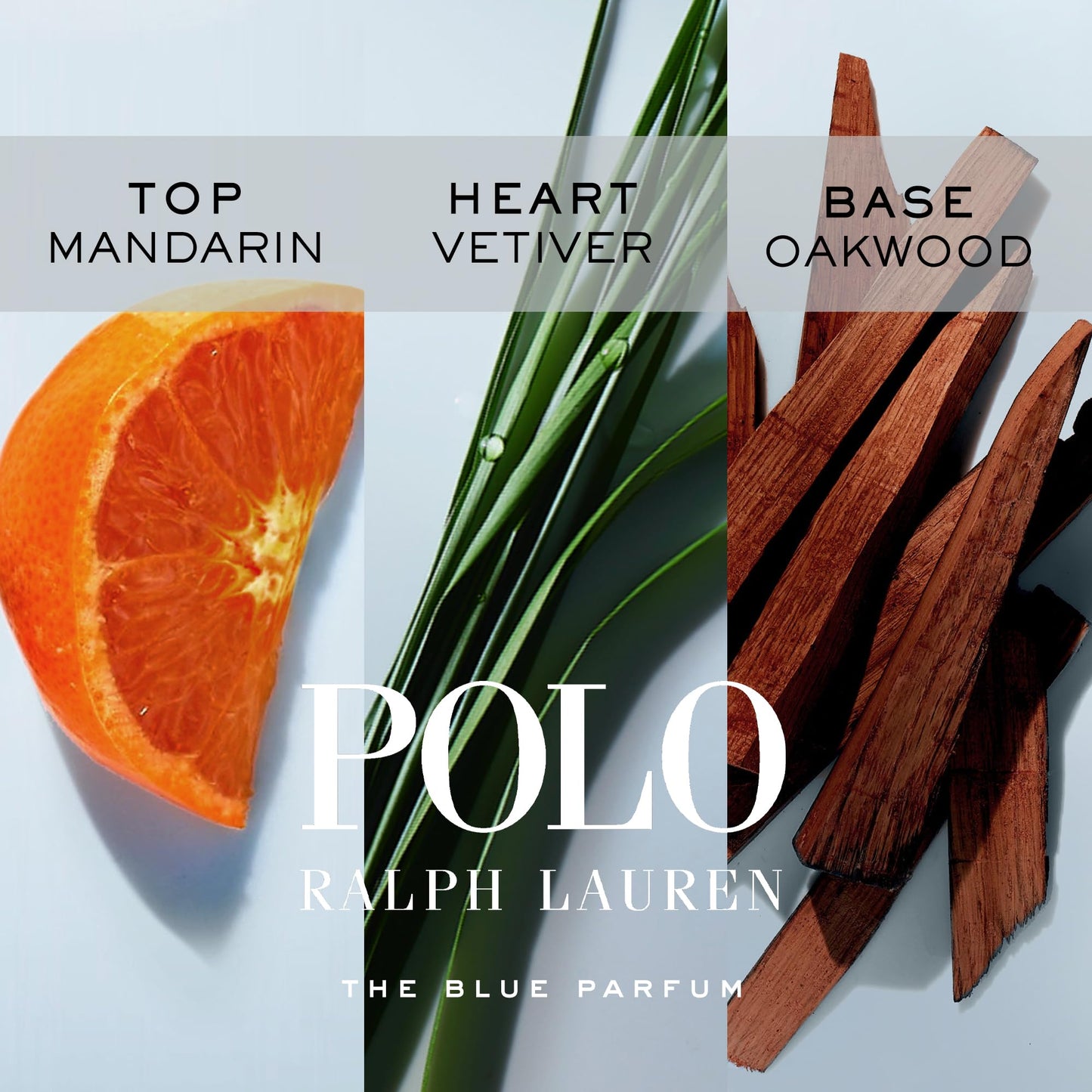 RALPH LAUREN FRAGRANCES Polo Blue - Parfum - Refill - Men's Cologne - Aquatic & Fresh - With Citrus, Oakwood, and Vetiver - Intense Fragrance - 5.1 Fl Oz