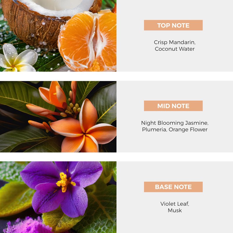 Nateeva St. Vincent And The Grenadines Night Blooming Jasmine EDP Perfume Spray - 100 ml (3.4 oz)
