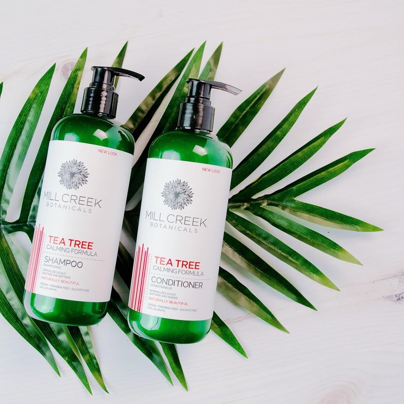 Aloe Vera Shampoo and Conditioner Bundle | Moisturizing Hair Care Set - 14 Oz Each