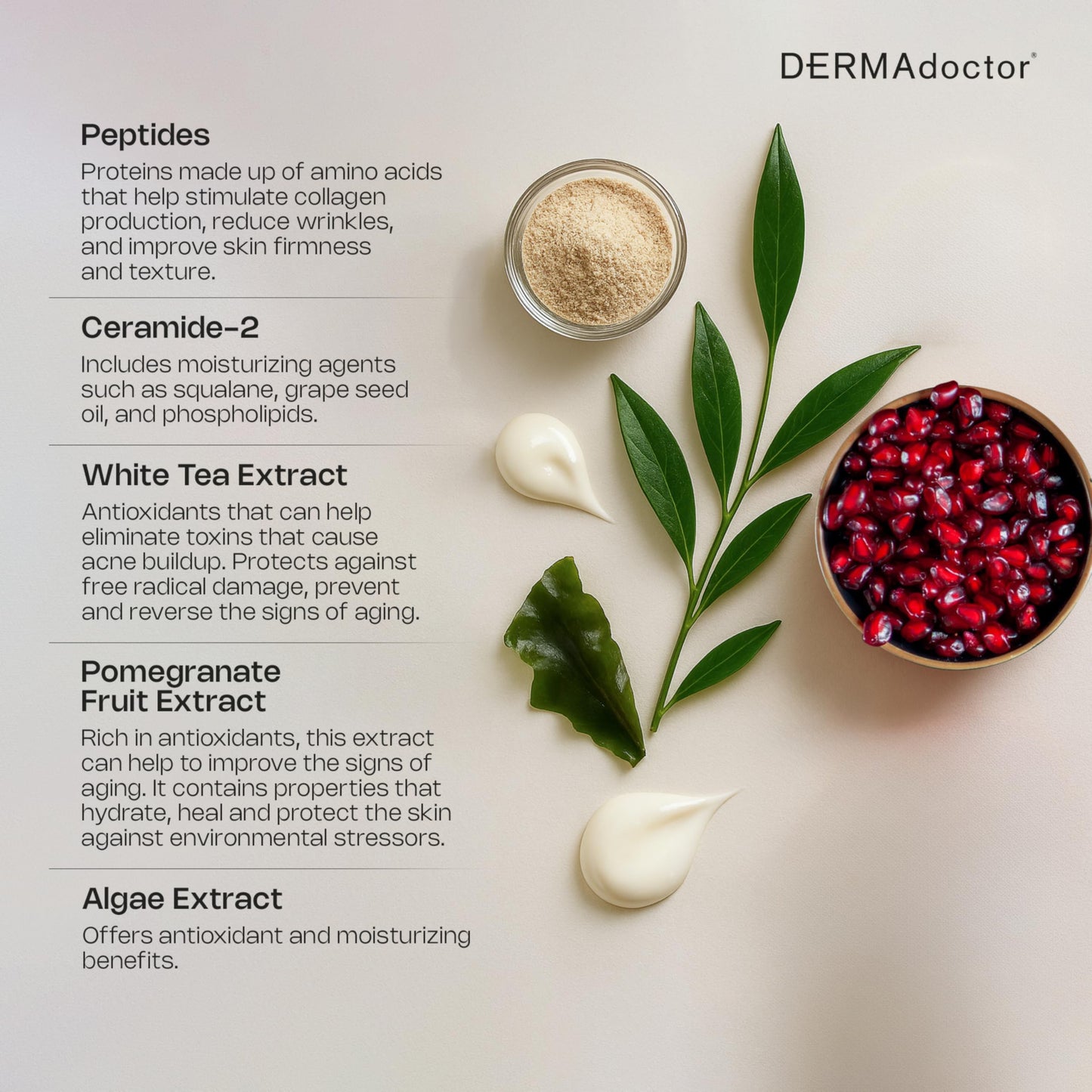 DERMAdoctor Face Cream Anti Aging for Fine Lines, Hydrating Squalane Moisturizer, Rejuvenating Ceramide Serum, Dermatologist Formulated Wrinkle Cream for Women, Peptide Moisturizer for Face – 1.7 oz