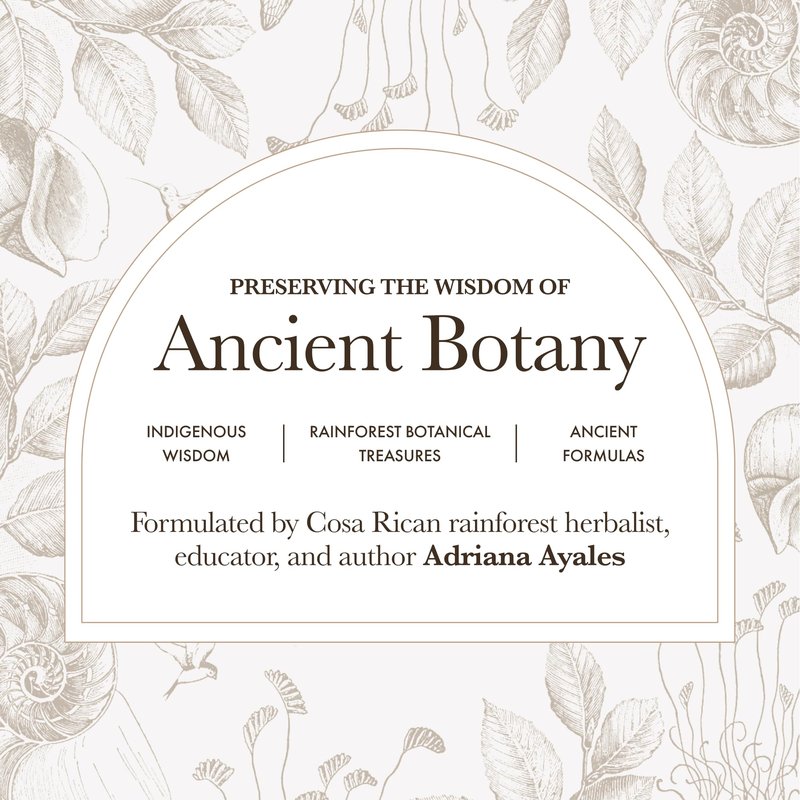 Anima Mundi Apothecary Mangosteen Hibiscus Beauty Tonic - Organic Mangosteen Fruit Powder with Hibiscus Flower - Contains Naturally-Occurring Vitamin C for Skin and Immune Support (4oz / 113g)