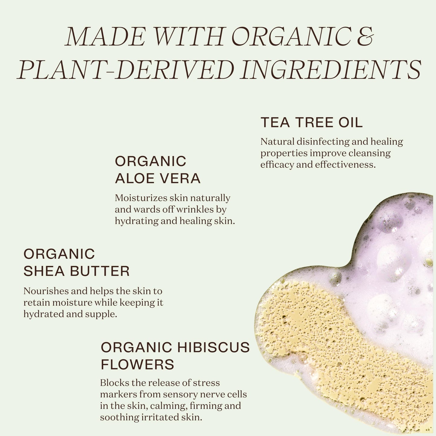 Ingreendients Natural Body Wash With Organic Ingredients - Moisturizing For Dry and Sensitive Skin, Vegan, Cruelty Free, Sulfate Free, Betaine Free (2 x 16 FL. Oz)