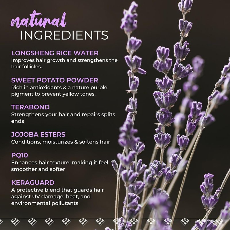 Viori Purple Shampoo Bar - Natural Hair Care with Longsheng Rice Water | Neutralizes Brassy Tones