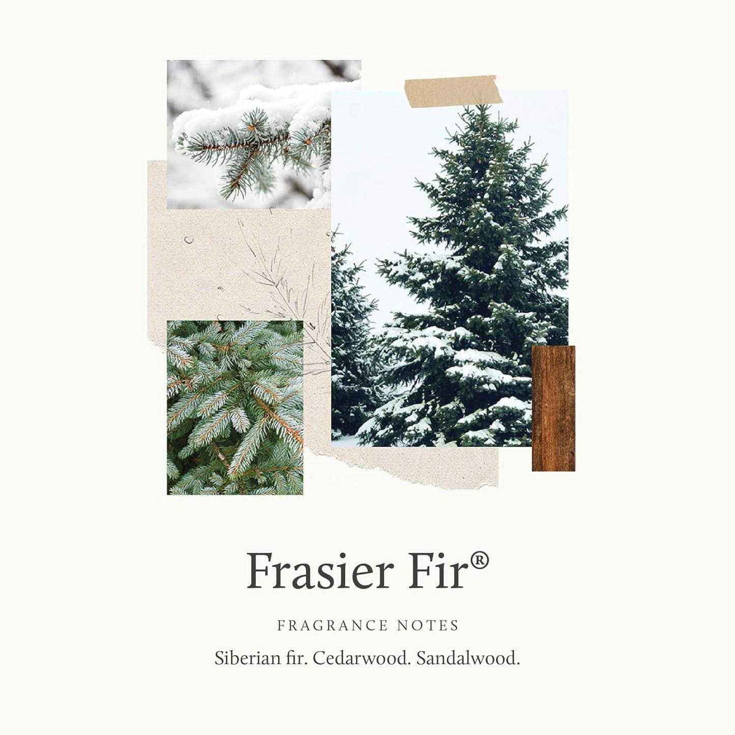 Thymes Frasier Fir Room Spray - Christmas Tree Scented Air Freshener | 3.75 Oz with Siberian Fir Needles