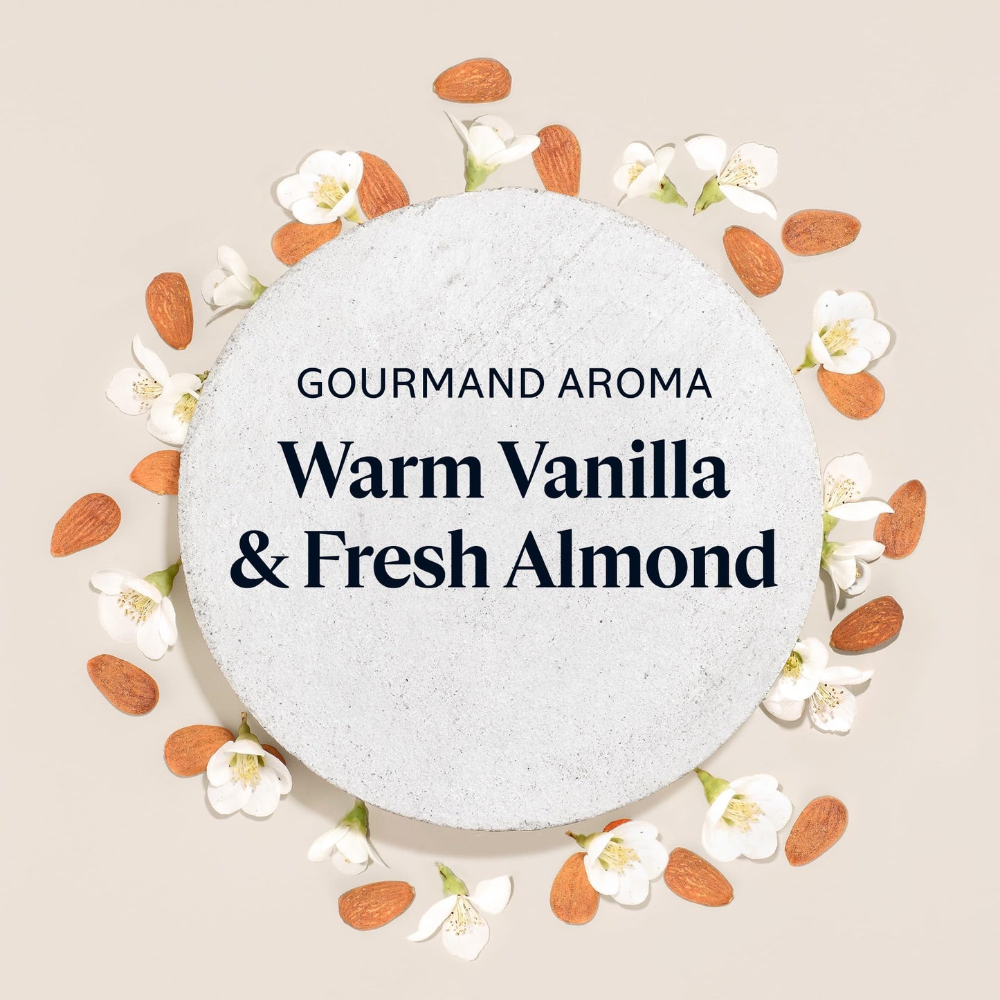 L’Occitane Almond Delicious Shower, Gentle Body Wash Cleanses, Moisturizes, Softens & Purifies for Radiant, Smooth Skin, Vegan Skincare, Scented