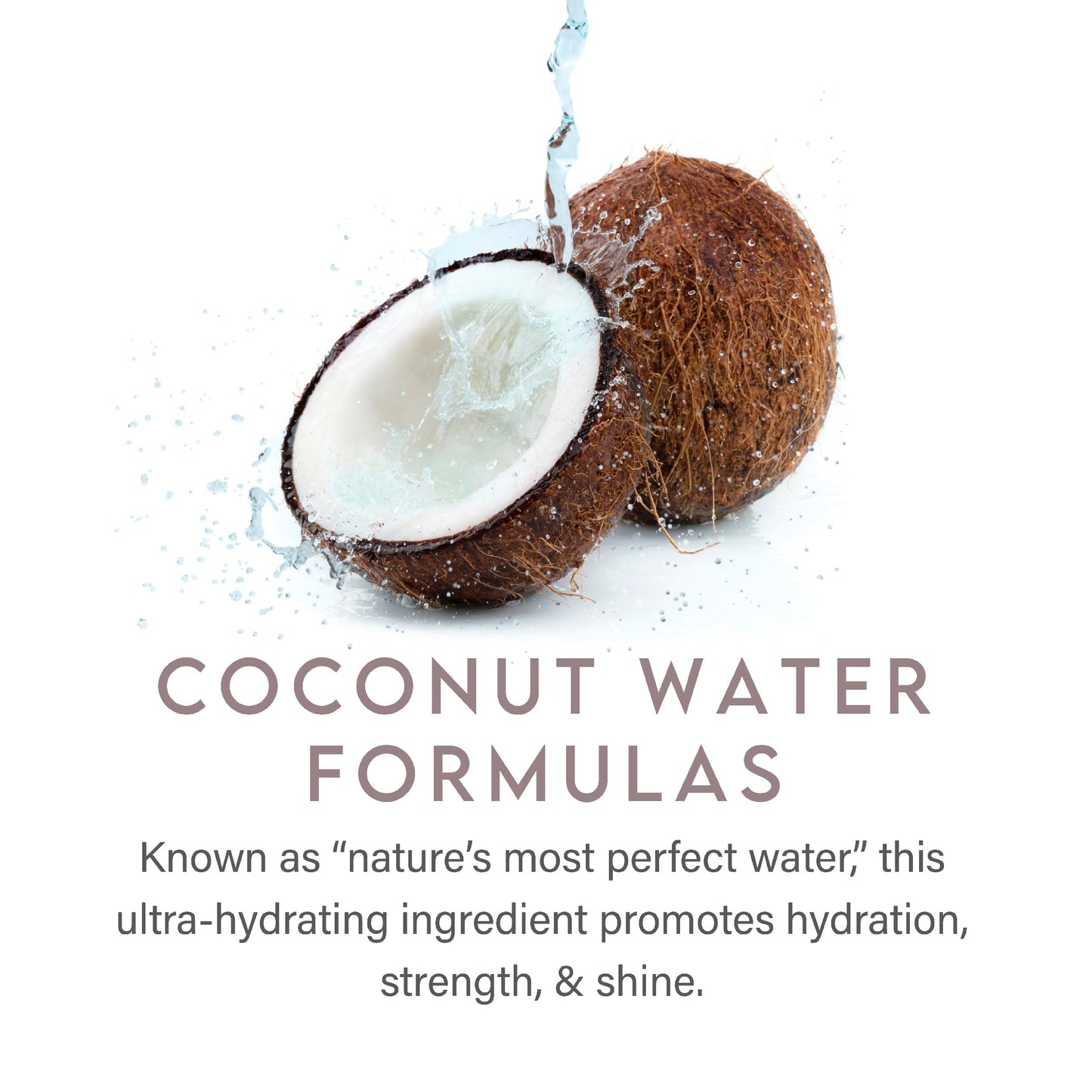 ALURAM Coconut Water Moisturizing Shampoo for Men and Women, Clean Hydration and Shine for Medium to Coarse Textured Hair, 33.8 Fl Oz
