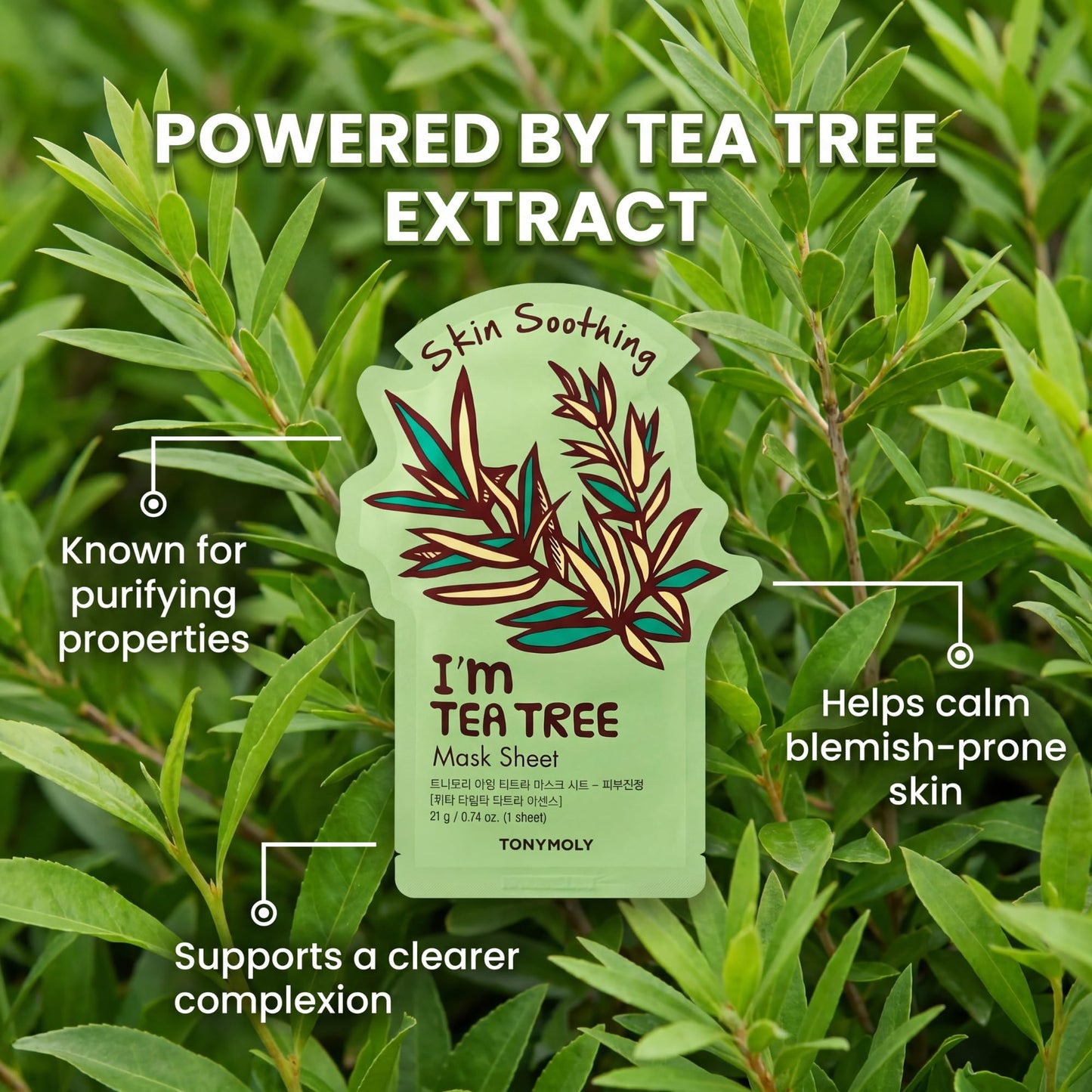 TONYMOLY I’m Tea Tree Sheet Mask 10-Pack – Hydrating & Soothing Korean Face Masks with Tea Tree Extract, Vitamin-Infused Skincare for Blemish-Prone & Radiant Skin