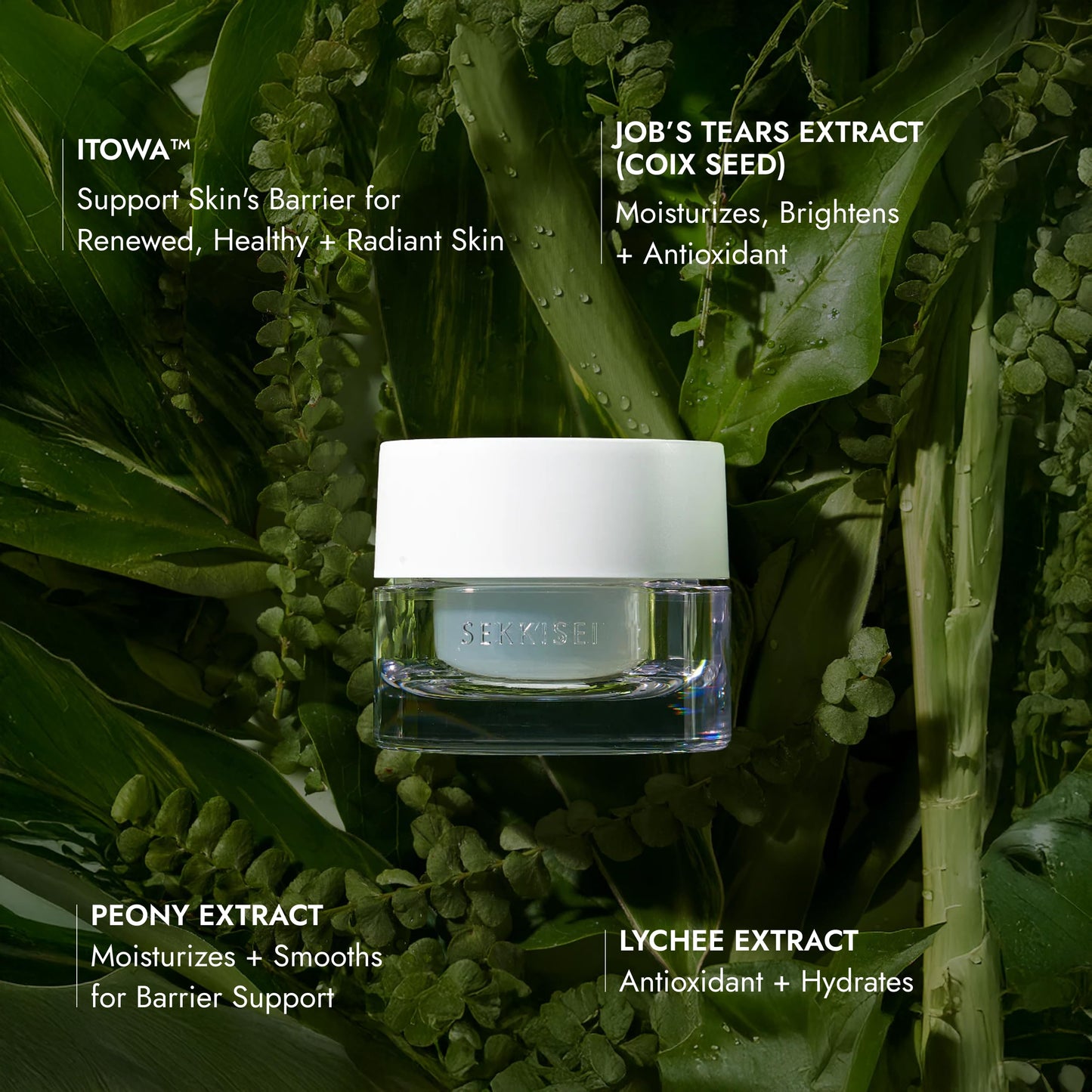SEKKISEI CLEAR WELLNESS Water Shield Cream, Facial Moisturizer for Sensitive Skin, 1.4 Ounce