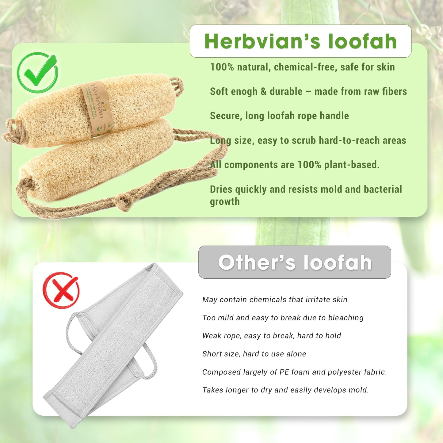 Herbvian Vietnamese Natural Loofah Exfoliating Body Scrubber Pads, Dish Wash Sponges and Whole Gourd Back Exfoliate