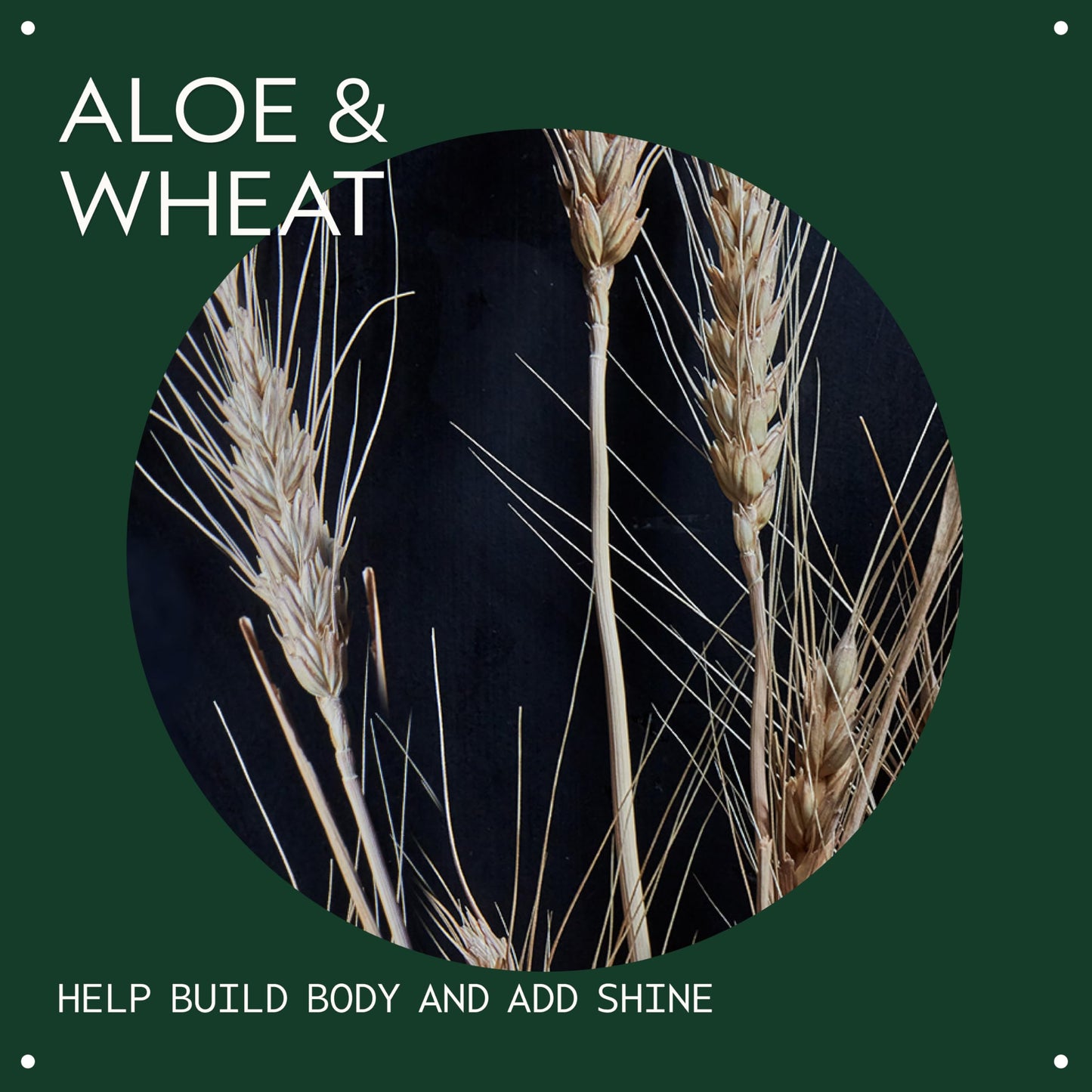 Aveda Volumizing Hair Tonic | Volume Spray for Fine and Medium Hair Types | Build Body + Shine | With Wheat Amino Acids and Certified Organic Aloe | 92% Naturally Derived*, 1.3 Fl Oz