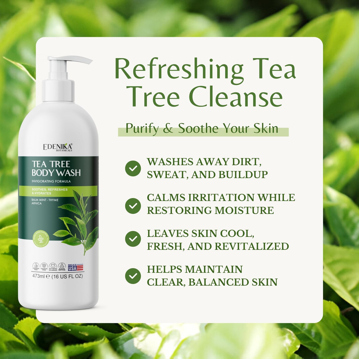 EDENIKA BOTANICALS Tea Tree Body Wash 16 fl oz (2 Pack) Natural Antifungal Support Wash for Athlete’s Foot, Ringworm & Jock Itch, Refreshes & Soothes, Organic Tea Tree Oil, Men & Women