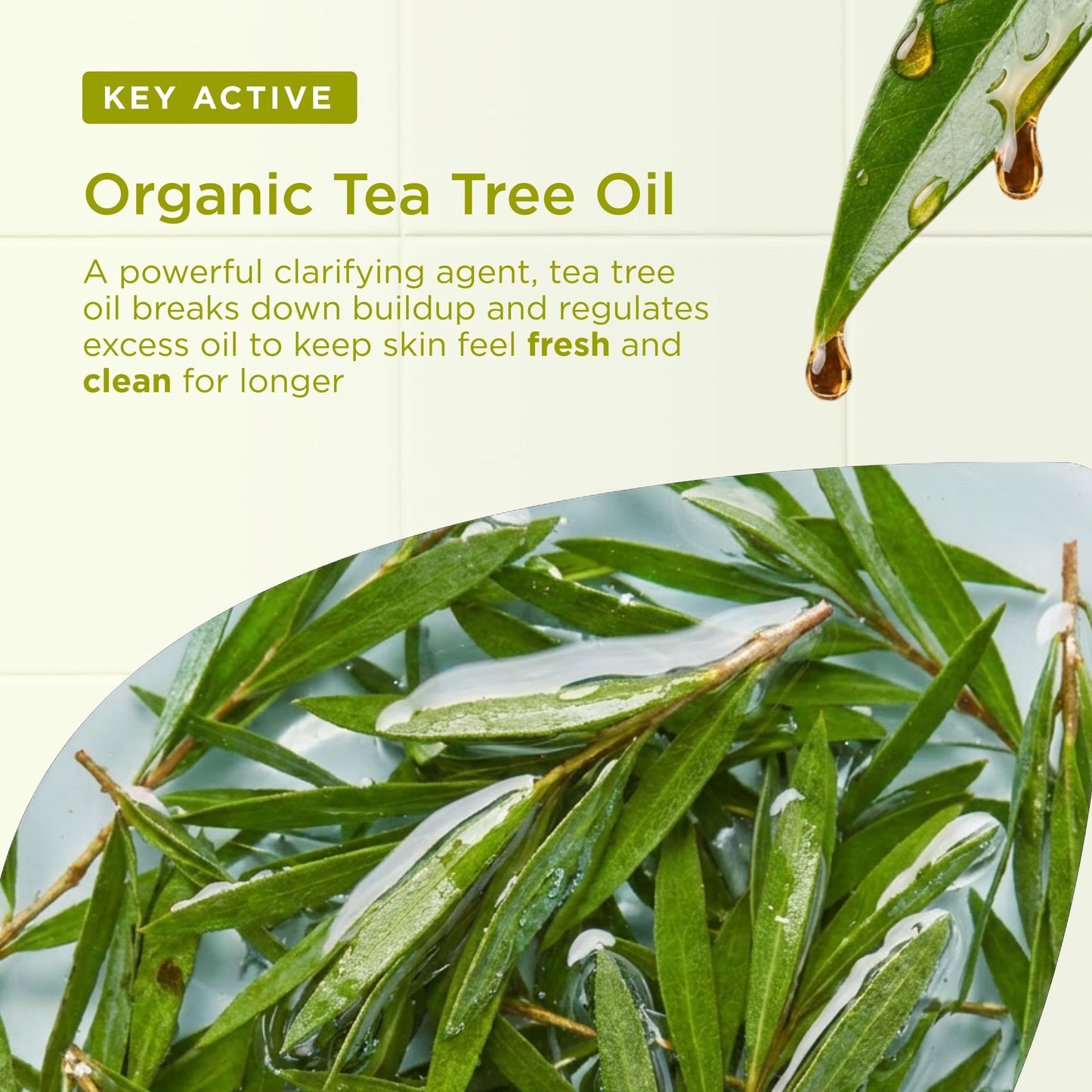 Organic Doctor Organic Tea Tree Body Wash, 8.5 fl.oz.