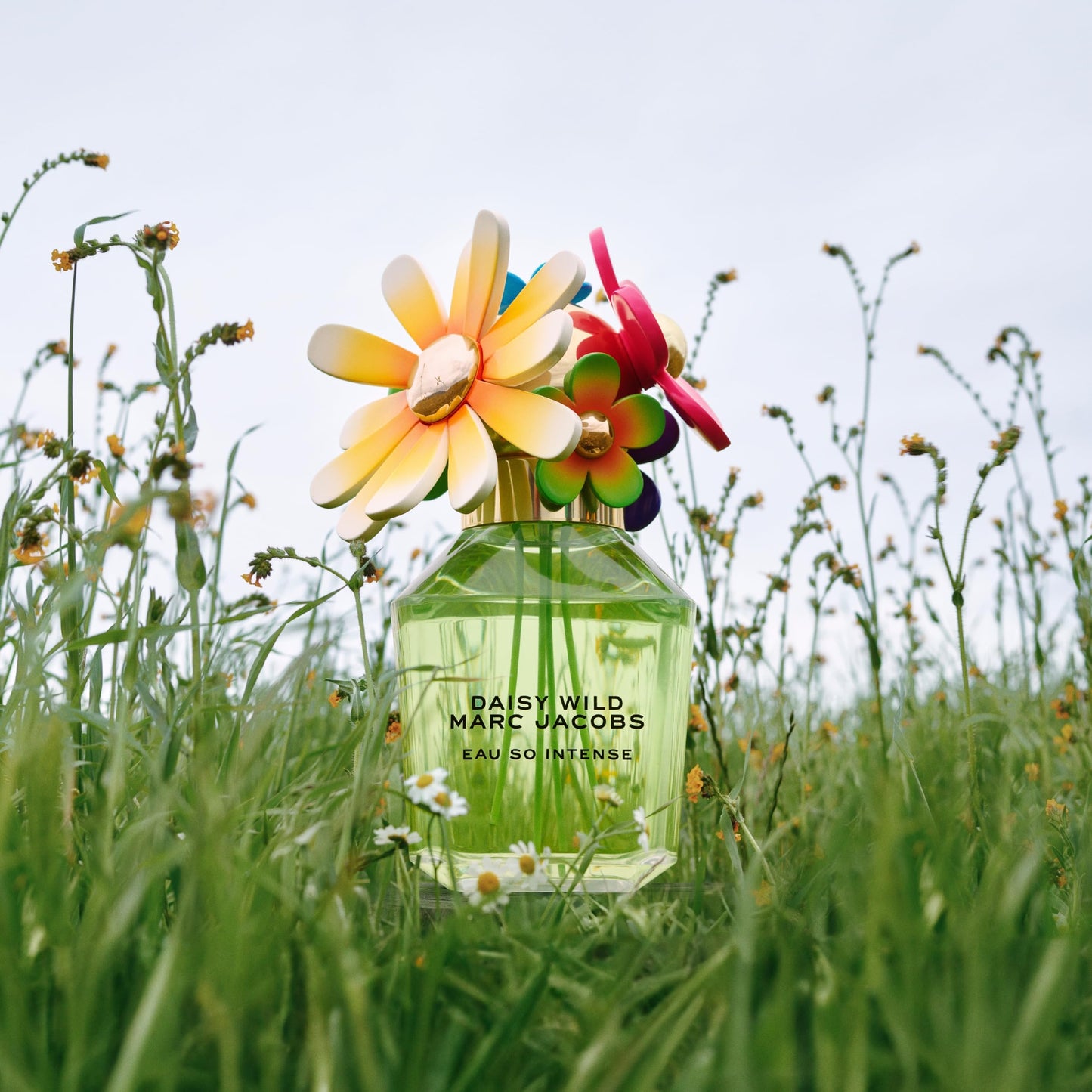 Marc Jacobs Daisy Wild Intense Eau de Parfum - Adventurous Floral Women's Perfume - With Notes of Banana Blossom, Jasmine Extract & Tuberose, Amber & Sandalwood 0.33 fl. Oz