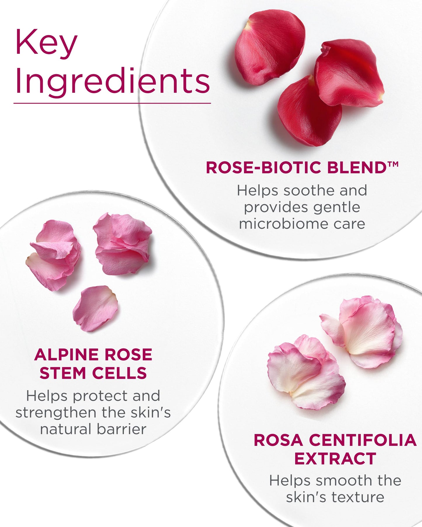 Andalou Naturals 1000 ROSES® Fortifying Night Cream