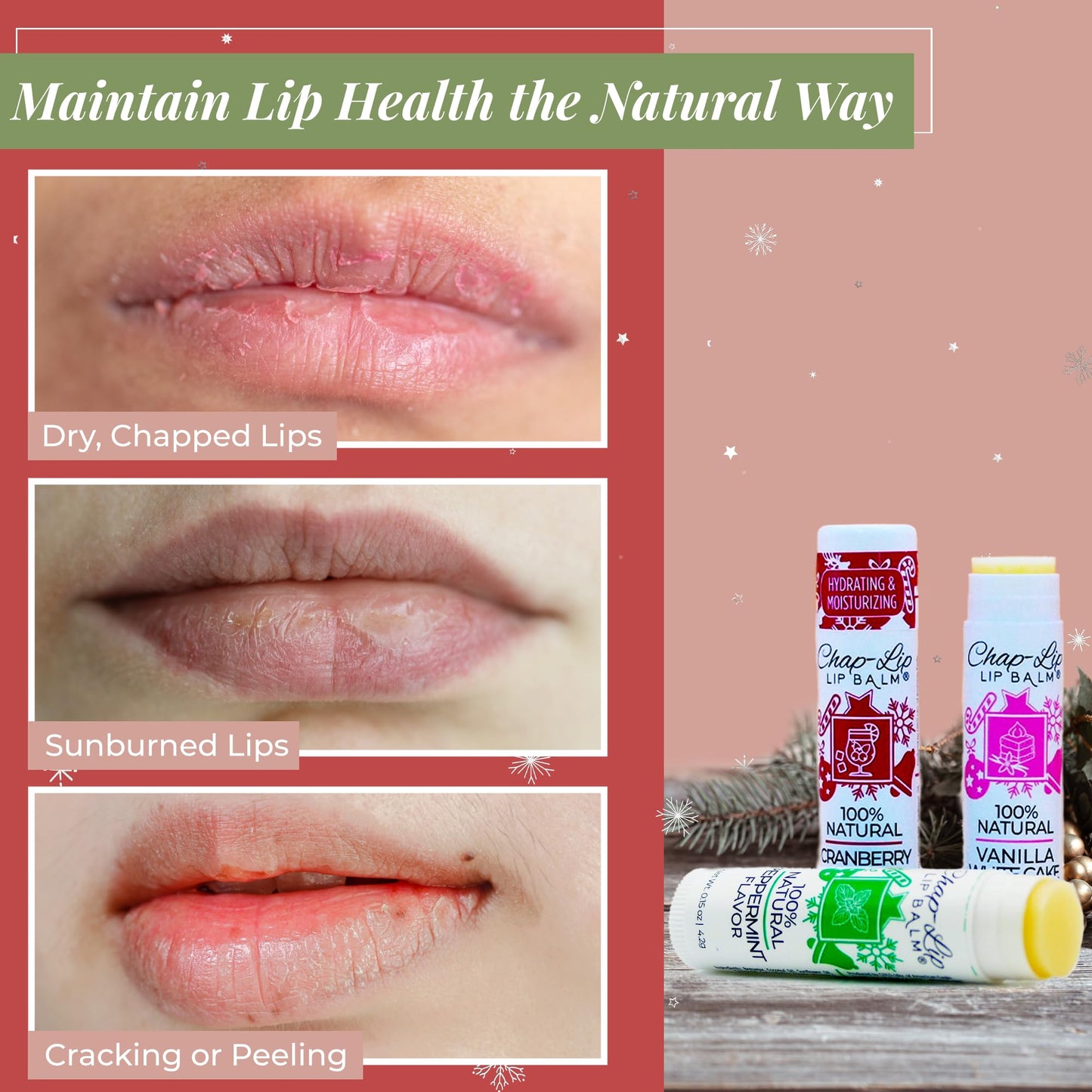 Chap-Lip Lip Balm 100% Natural Lip Balm Set - Beeswax Natural Christmas Gifts for Her - Lip Moisturizer for Dry Lips, Cocoa Butter - Petroleum Free, 24 Count, 2 Pack
