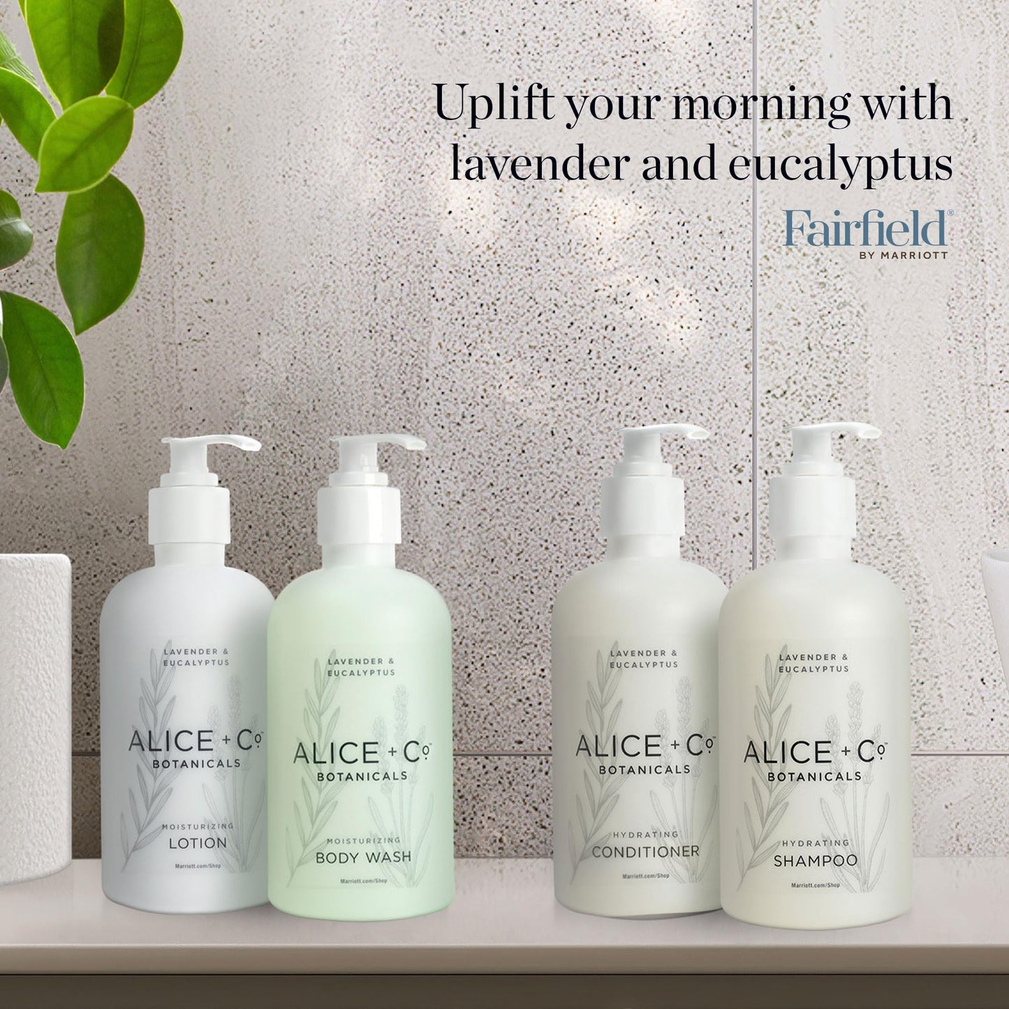 Alice + Co. Shampoo & Conditioner | Lavender & Eucalyptus | Fairfield by Marriott | Hotel Bath Amenities | 8.5 oz Bottles | Hair Care Set