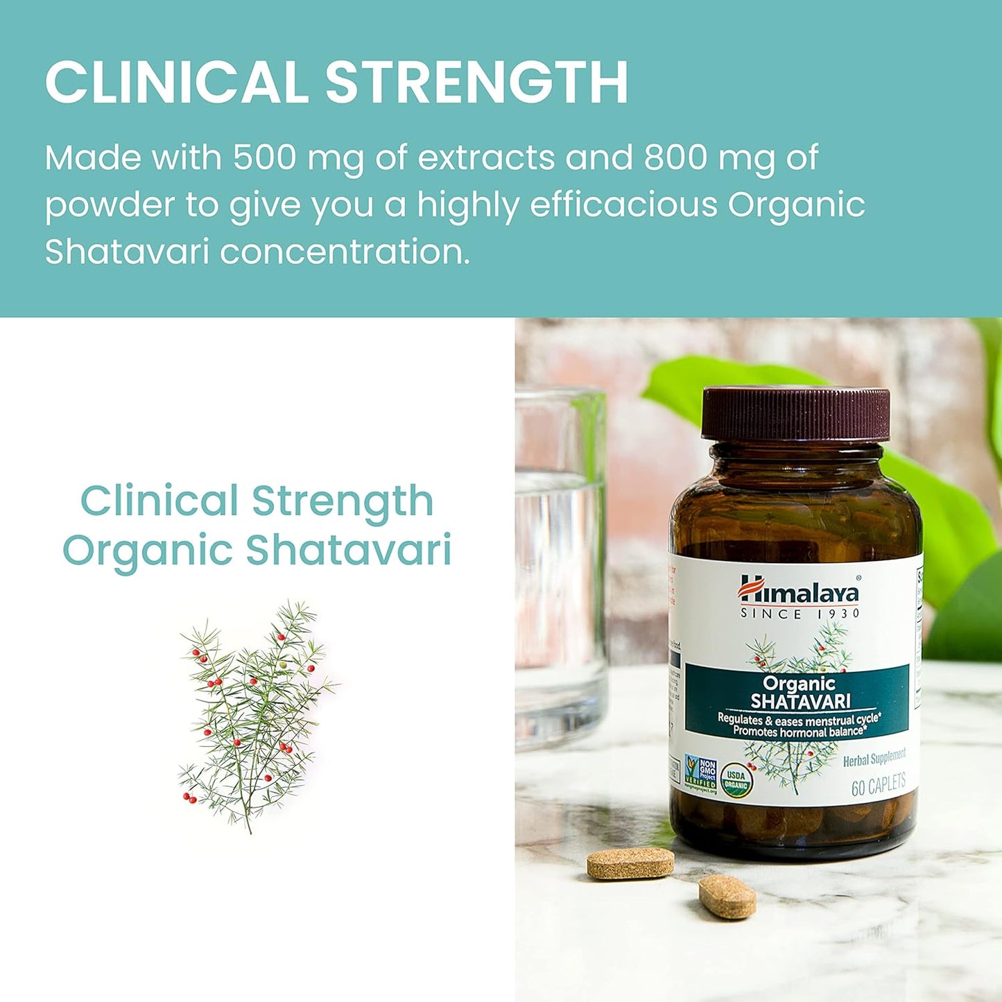 Himalaya Organic Shatavari Capsules - Hormone Balance & Menstrual Relief | Vegan, Gluten-Free, 1300 mg, 2-Pack