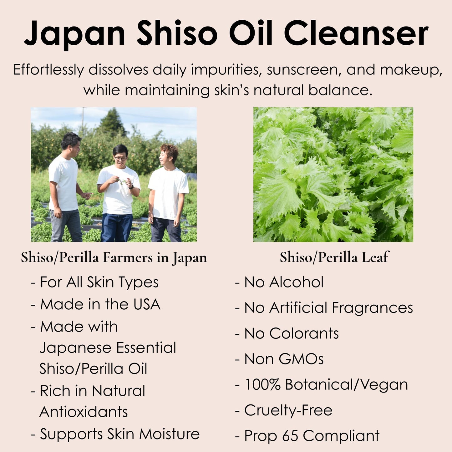 CARRÉ COSMETICS SHISO/PERILLA OIL CLEANSER with Japanese Shiso Oil, Gentle Makeup Remover (100mL/3.4oz)