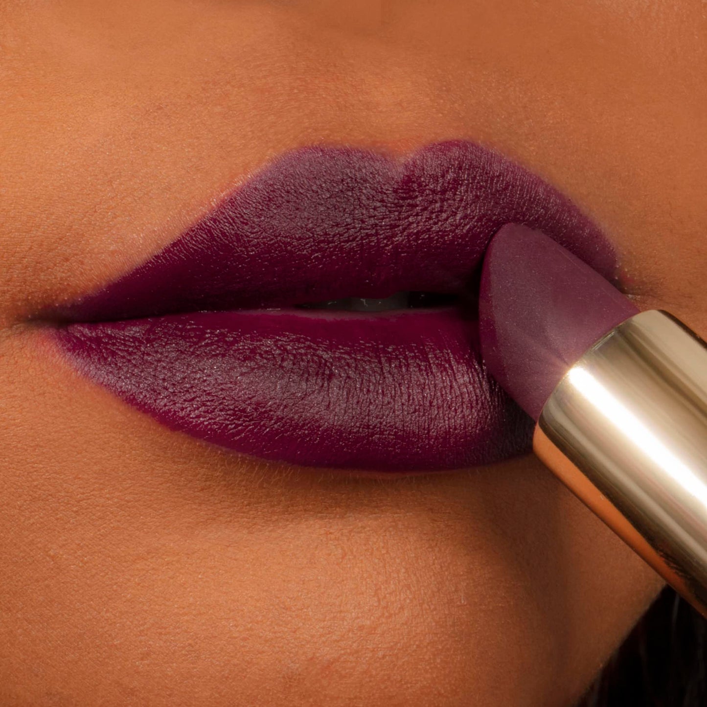 Milani Color Fetish Lipstick and Understatement Lipliner Bundle - Dahlia & Brazenberry