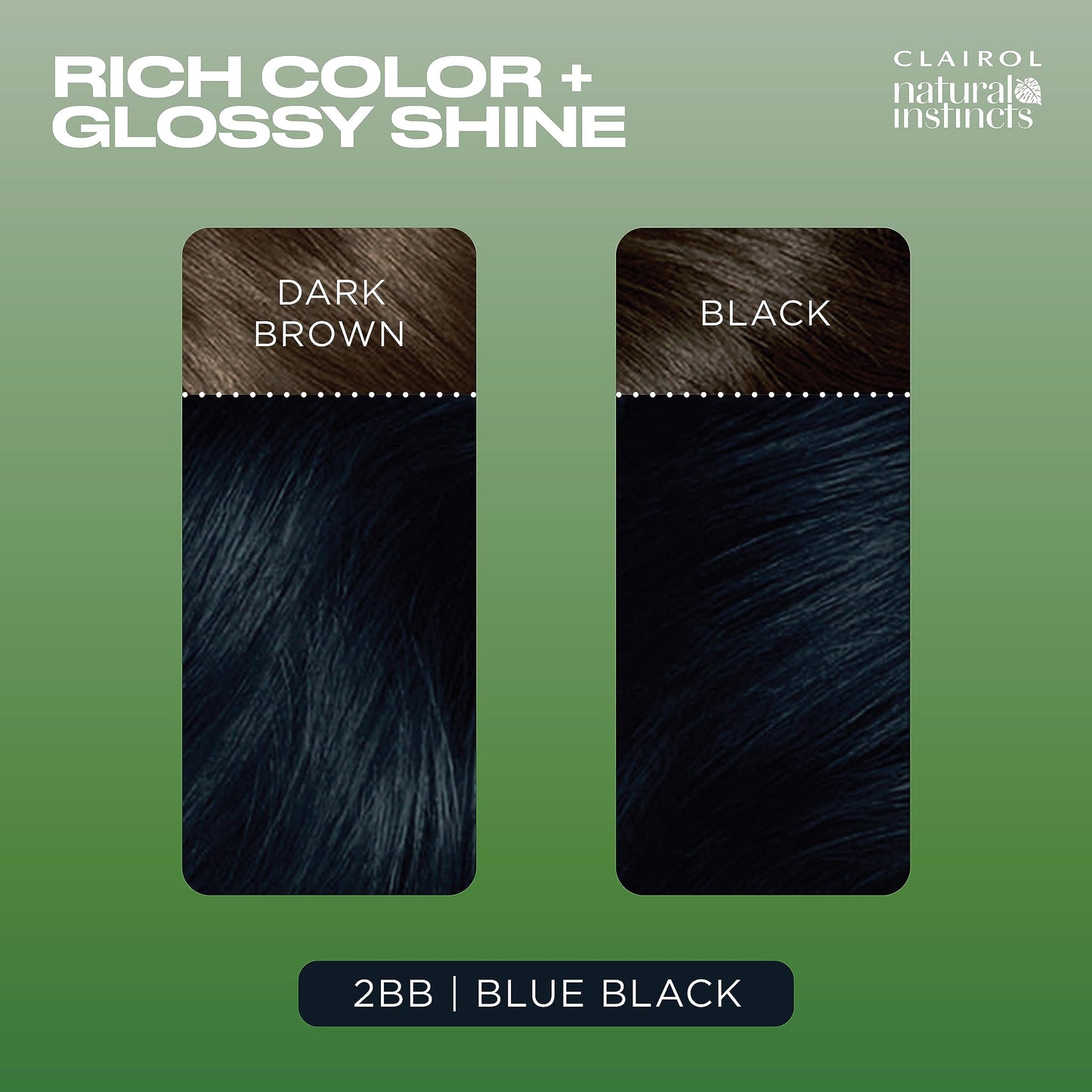 Clairol Natural Instincts Demi-Permanent Hair Dye, 2BB Blue Black | Ammonia‑Free, Vegan Hair Color with Coconut Oil & Aloe Vera | Pack of 1