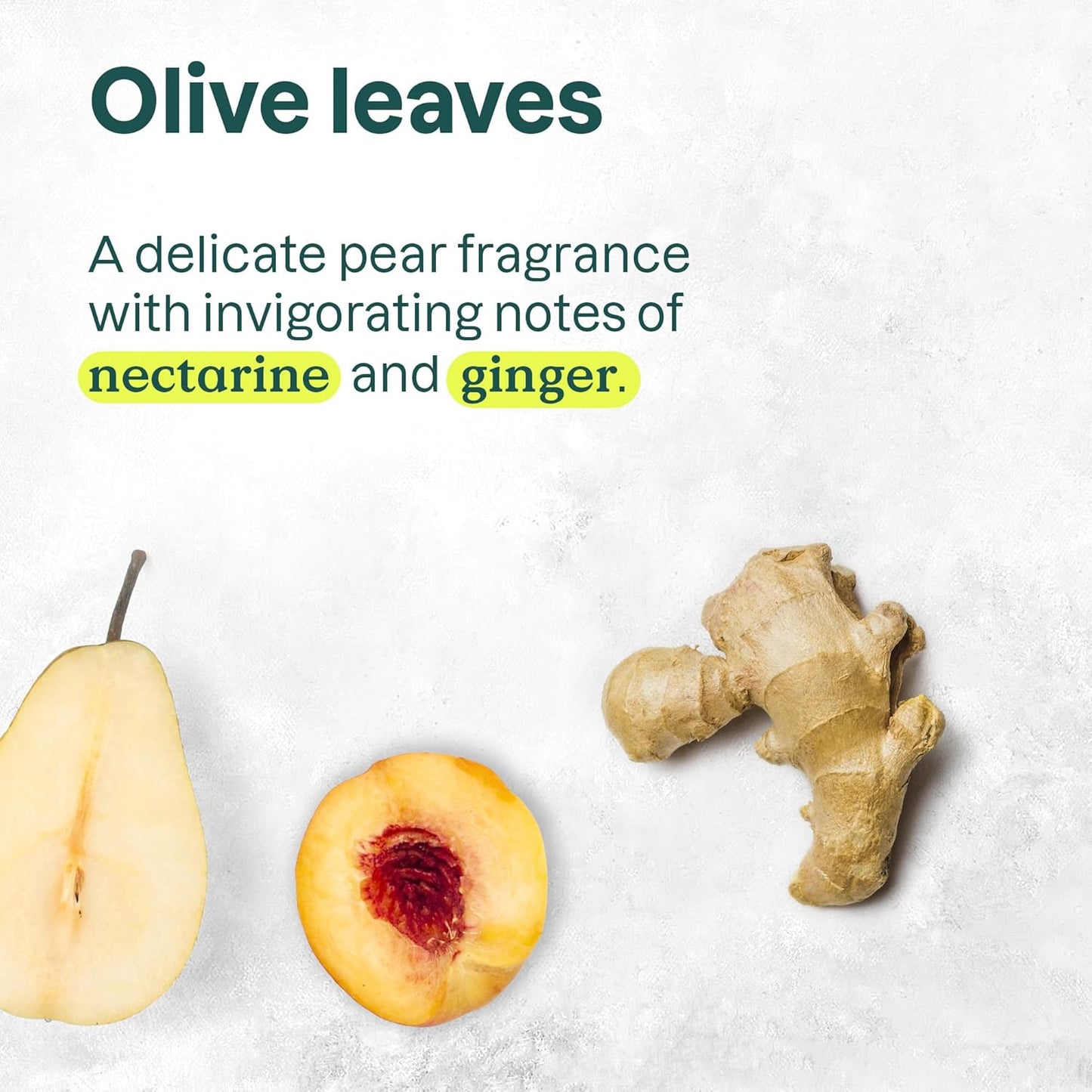 ATTITUDE Liquid Hand Soap & Body Lotion Bundle - EWG Verified, Vegan, Olive Leaves, 16 Fl Oz