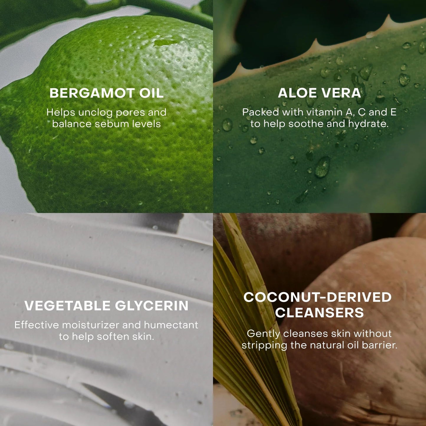 Everist The Hydrating Body Duo, The Body Wash Concentrate Tube 50+ Washes Bundled With The Compostable Konjac Sponge