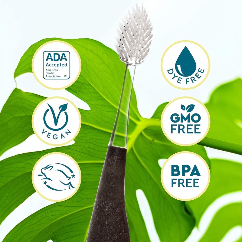 RADIUS Toothbrush Source Floss Brush BPA Free & ADA Accepted Improve Gum Health & Reduce Gum Issues - Medium - Cornstarch/Hemp/Money - Pack of 3
