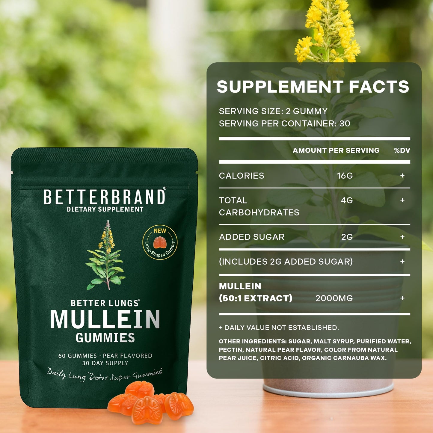 Betterbrand Mullein Chewable Gummies for Lung Cleanse and Detox, Respiratory Health Supplement, 2000mg Mullein Extract per Serving, 50:1 Extract - 30 Day Supply - Pear Flavored