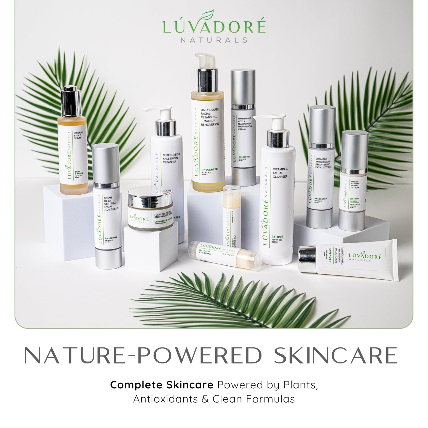 Luvadore Naturals Crème De La Centella Moisturizer – Hydrating & Repairing Centella Soothing Cream with Aloe, Shea Butter & Green Tea, Thick Moisturizer for Face (50ml)