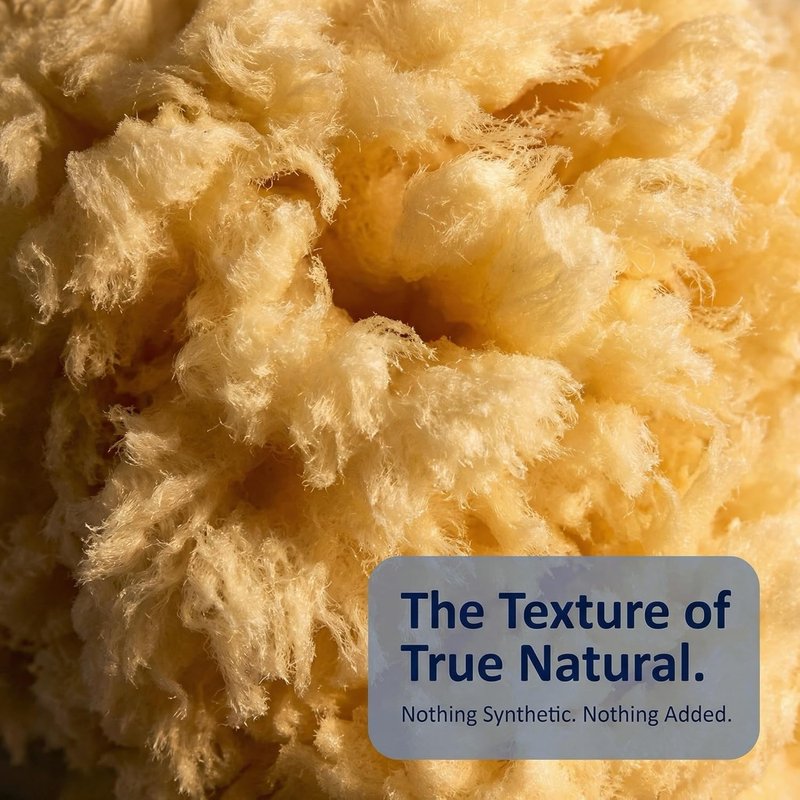 Real Sea Wool Sponges - Natural Bath & Face Sponge Set, 2 Pack | Large 6”-7” & Medium 3”-4” Hypoallergenic Organic Sponges