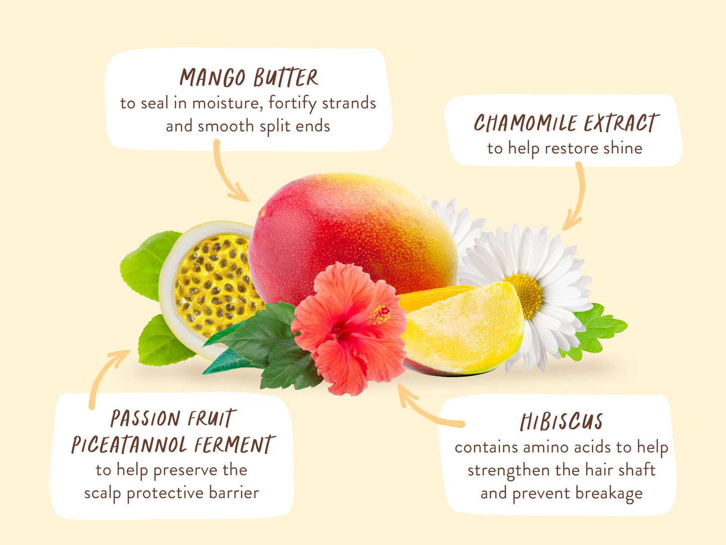 Babo Botanicals Nourishing Mango & Hibiscus Shampoo & Conditioner - For Dry, Damaged, Color-Treated Hair – Moisturize & Soften – Water-Resistant Carton 80% Less Plastic – Vegan – Silicone Free