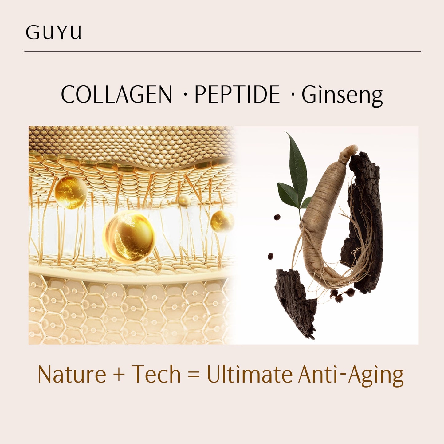 Ginseng Anti-Aging Face Serum | GUYU Single-Use Ampoule | Peptides, Hyaluronic Acid, Panthenol, Ectoin, Beta Glucan | for Lifting, Firming, Smoothing Lines, Plumping (0.05 Fl Oz x 30pcs)